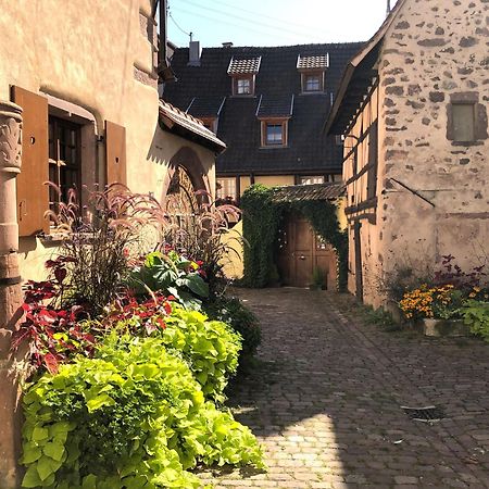 Les Gites Coeur De Vigne Riquewihr Esterno foto