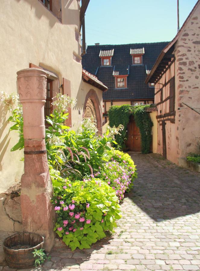 Les Gites Coeur De Vigne Riquewihr Esterno foto