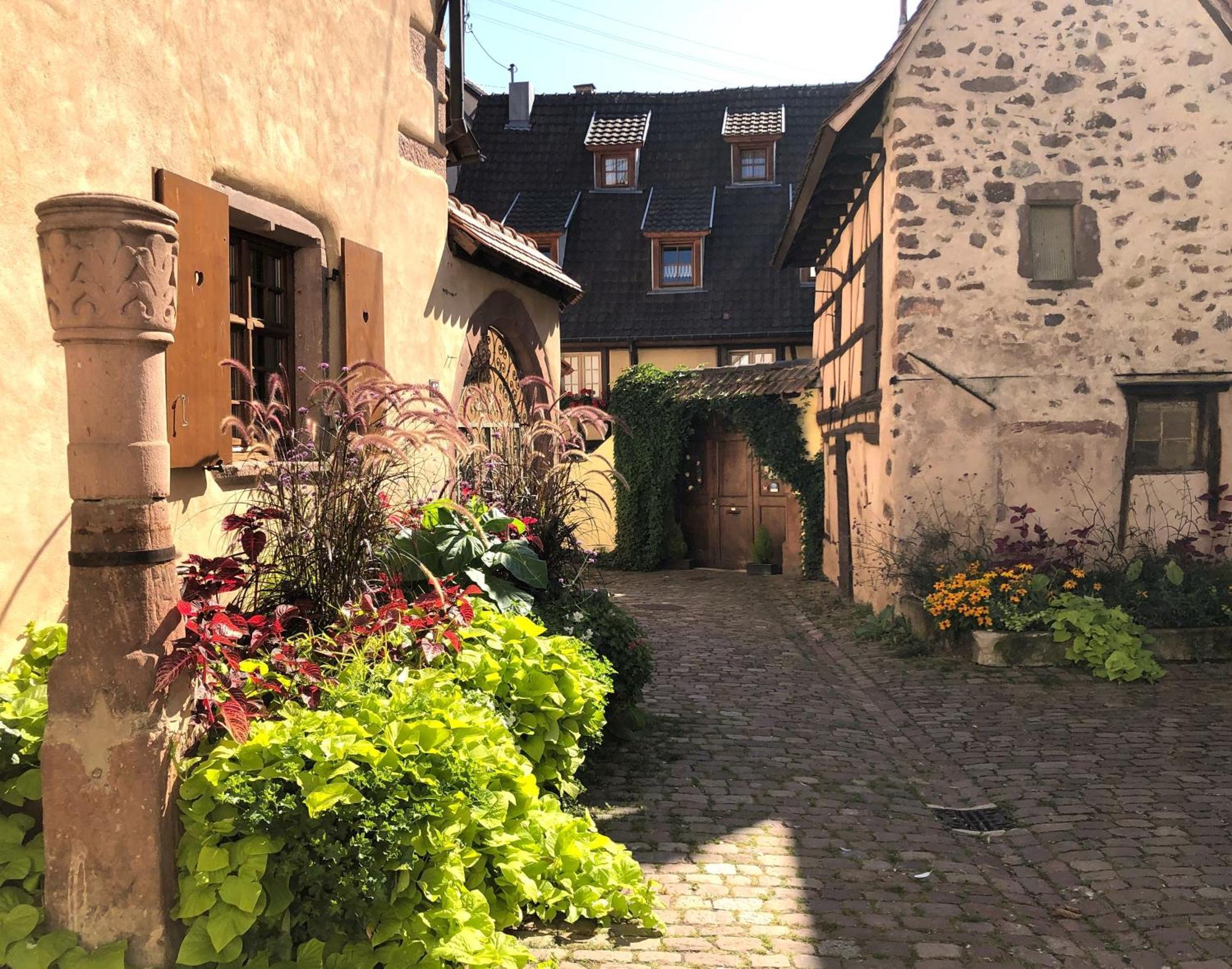 Les Gites Coeur De Vigne Riquewihr Esterno foto